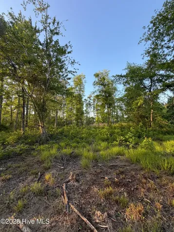 705 Russells Creek Road Beaufort NC 28516