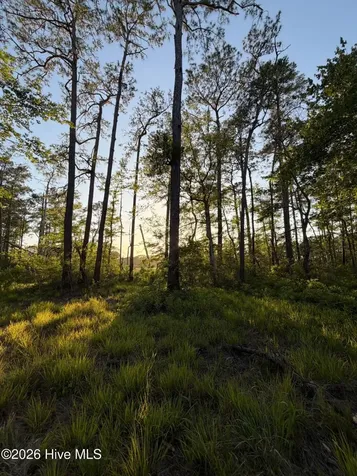 705 Russells Creek Road Beaufort NC 28516