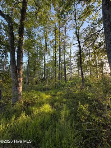 705 Russells Creek Road Beaufort NC 28516