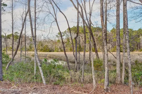 740 Quiet Meadow Drive Jacksonville NC 28546