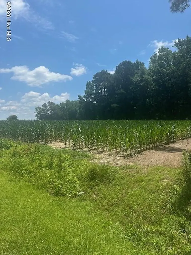 Near 721 Joe Piver Road Chadbourn NC 28431
