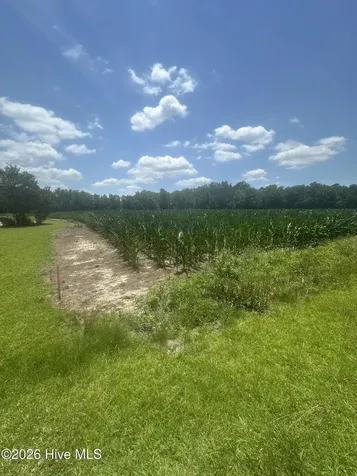 Near 721 Joe Piver Road Chadbourn NC 28431