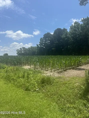 Near 721 Joe Piver Road Chadbourn NC 28431