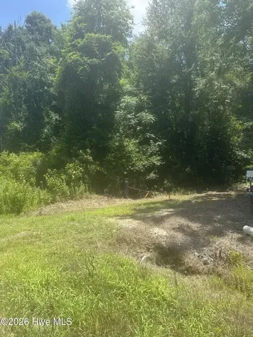 Near 721 Joe Piver Road Chadbourn NC 28431
