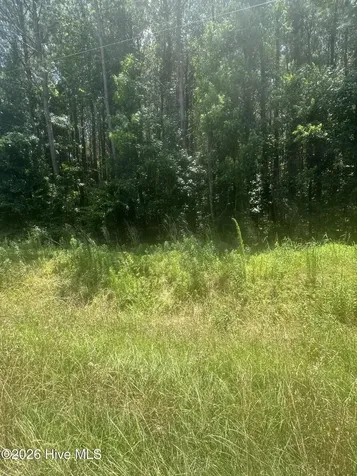Near 721 Joe Piver Road Chadbourn NC 28431