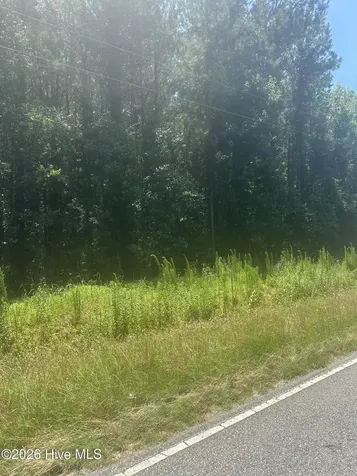Near 721 Joe Piver Road Chadbourn NC 28431