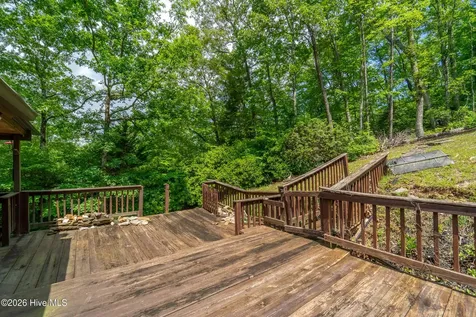 621 Carolina Vista Robbinsville NC 28771