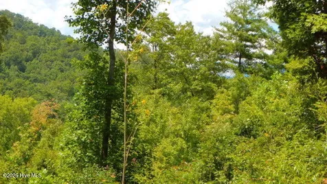 16 Tyler Ridge Murphy NC 28906