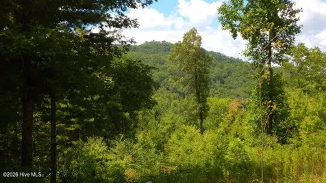 16 Tyler Ridge Murphy NC 28906