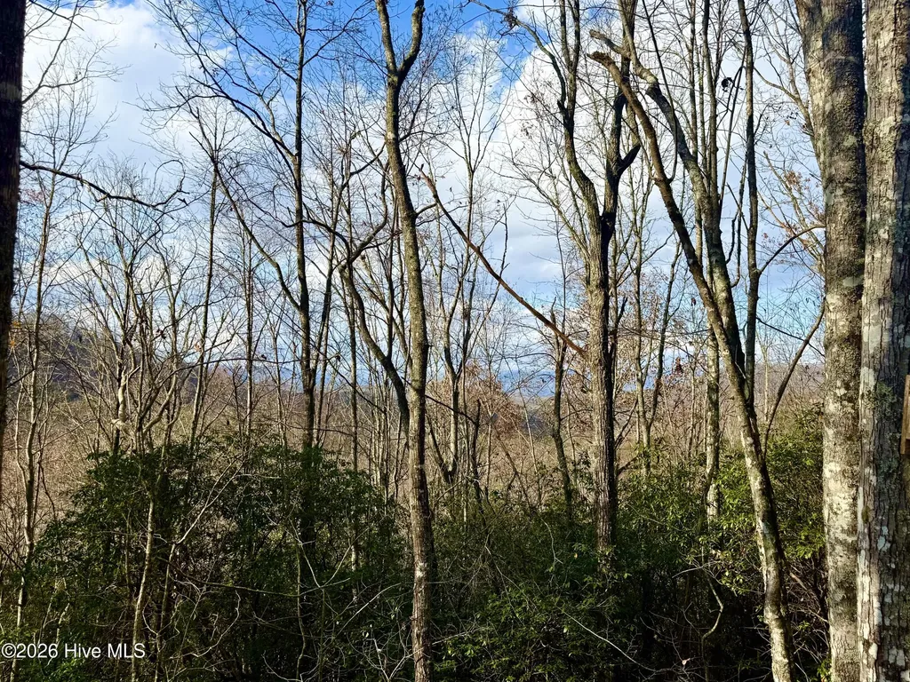 00 Ridgeline Drive Brasstown NC 28902