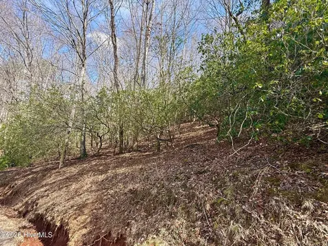 00 Ridgeline Drive Brasstown NC 28902