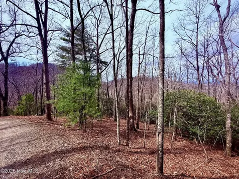 00 Ridgeline Drive Brasstown NC 28902