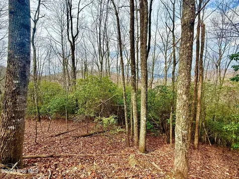 00 Ridgeline Drive Brasstown NC 28902