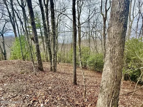 00 Ridgeline Drive Brasstown NC 28902