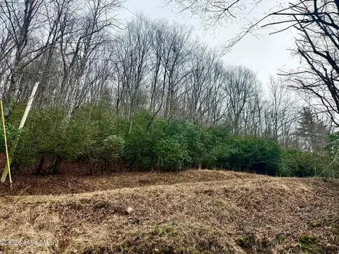 00 Ridgeline Drive Brasstown NC 28902