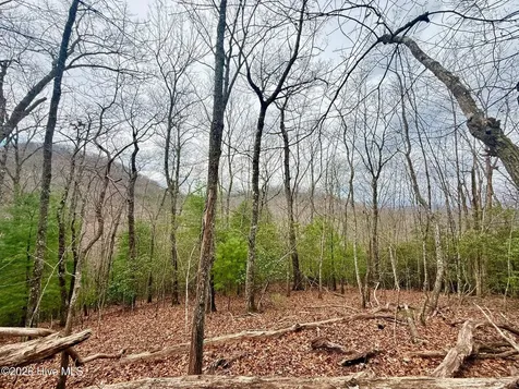 00 Ridgeline Drive Brasstown NC 28902