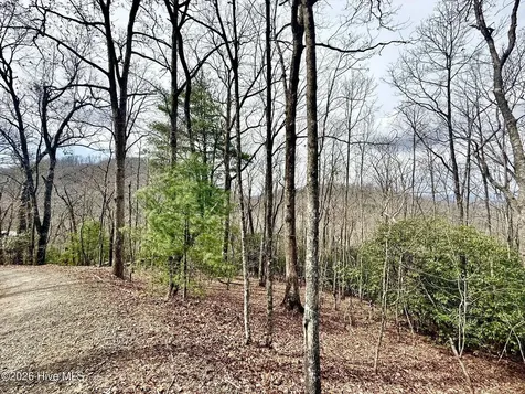 00 Ridgeline Drive Brasstown NC 28902