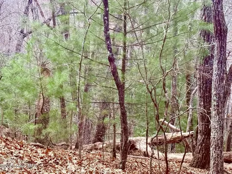 00 Ridgeline Drive Brasstown NC 28902