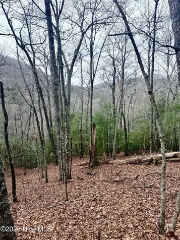 00 Ridgeline Drive Brasstown NC 28902