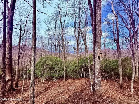 00 Ridgeline Drive Brasstown NC 28902