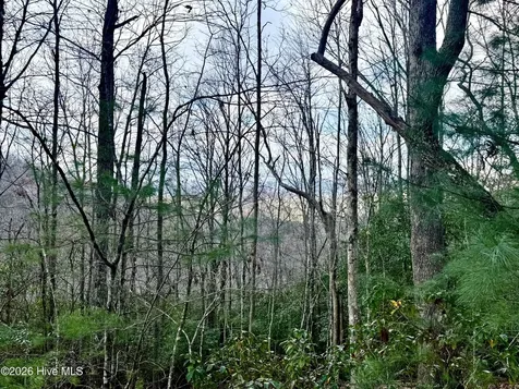 00 Ridgeline Drive Brasstown NC 28902