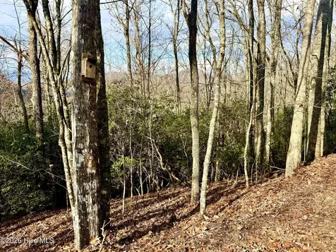 00 Ridgeline Drive Brasstown NC 28902