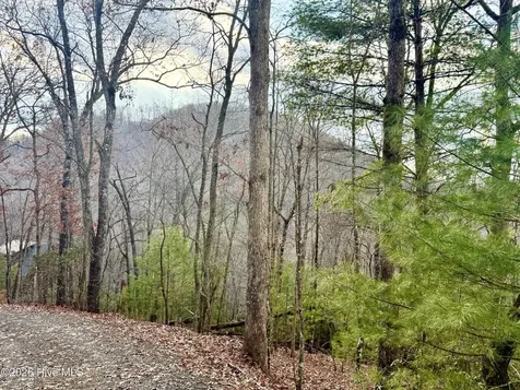 00 Ridgeline Drive Brasstown NC 28902