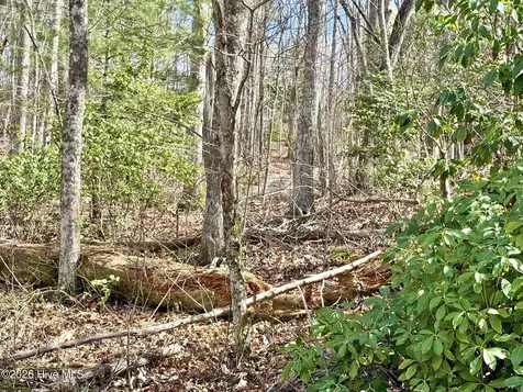 00 Ridgeline Drive Brasstown NC 28902