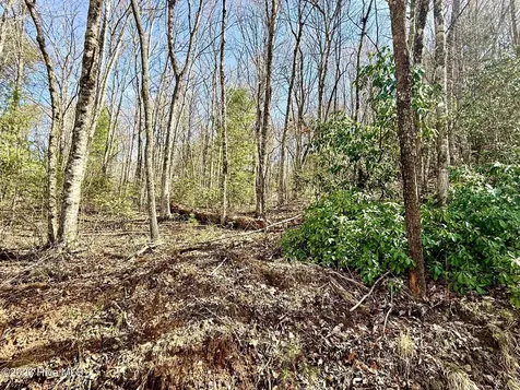 00 Ridgeline Drive Brasstown NC 28902