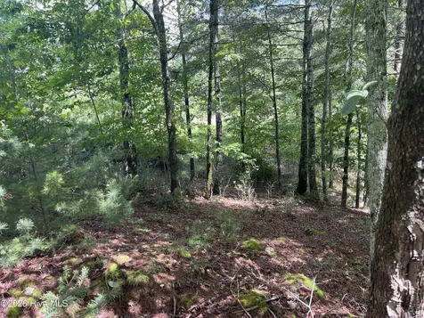 0 River Mountain Road Murphy NC 28906
