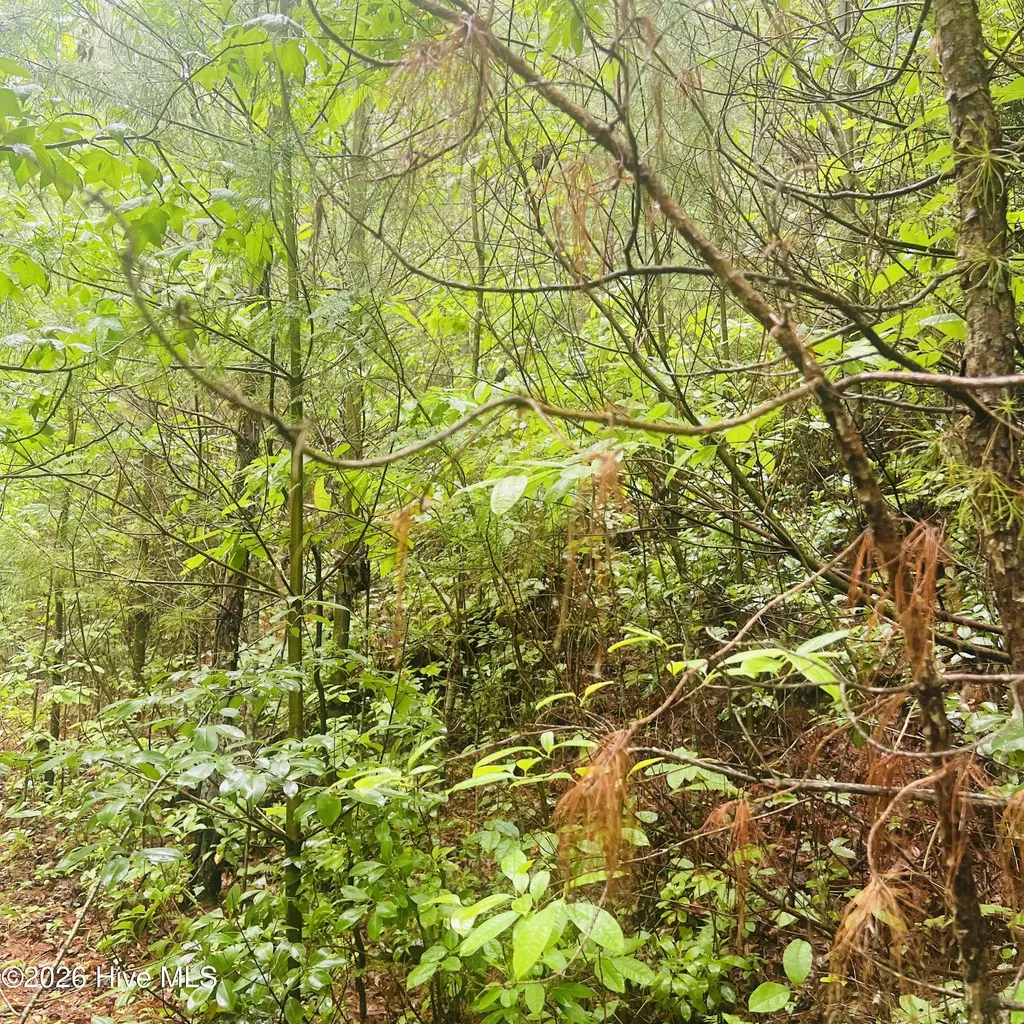 Lot 20 Owl Bluff Murphy NC 28906