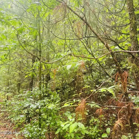 Lot 20 Owl Bluff Murphy NC 28906