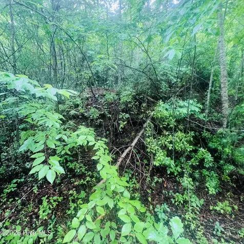 Lot 20 Owl Bluff Murphy NC 28906