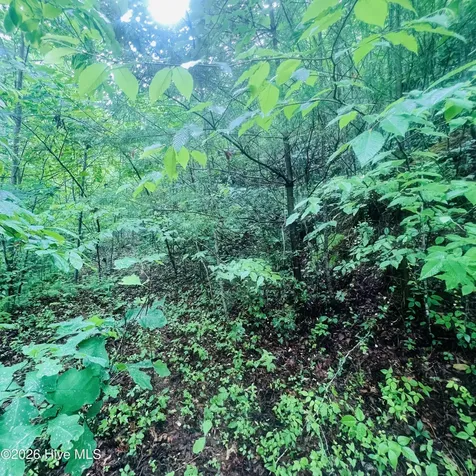 Lot 20 Owl Bluff Murphy NC 28906