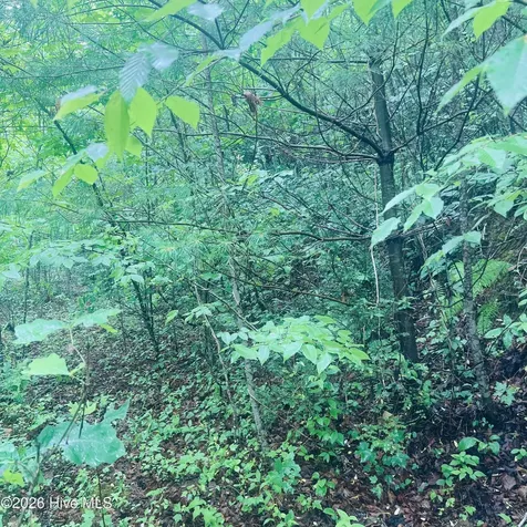 Lot 20 Owl Bluff Murphy NC 28906