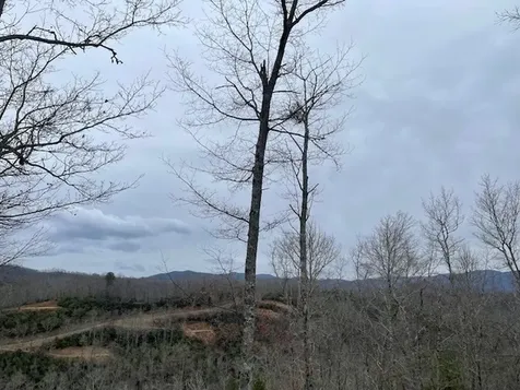41 Mystic Ridge Way W Topton NC 28781