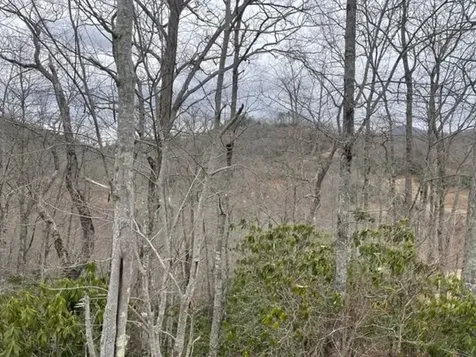 41 Mystic Ridge Way W Topton NC 28781