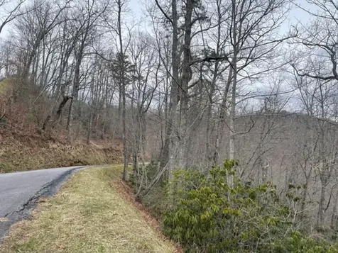 41 Mystic Ridge Way W Topton NC 28781