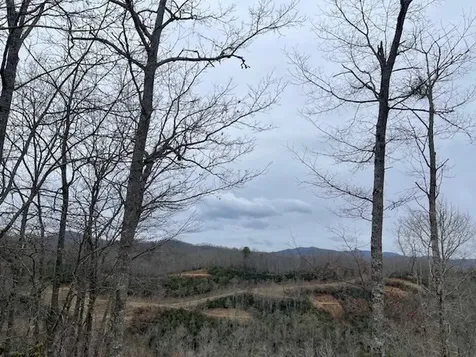 41 Mystic Ridge Way W Topton NC 28781