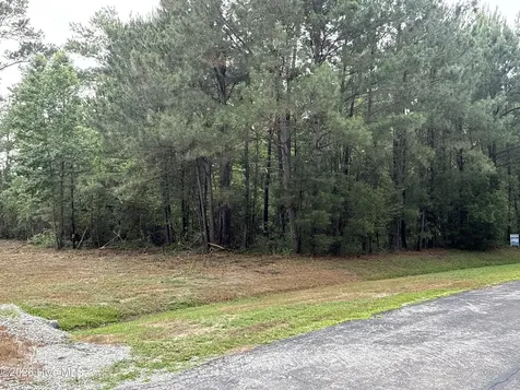 87 Bailey Pointe Drive Belhaven NC 27810