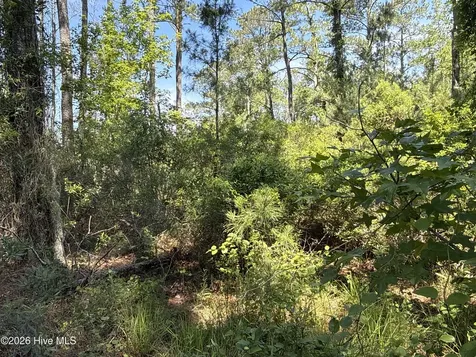 87 Bailey Pointe Drive Belhaven NC 27810