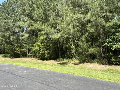 87 Bailey Pointe Drive Belhaven NC 27810