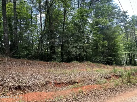 Lt 41 & 42 Smokey Hollow Drive Murphy NC 28906