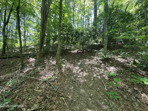 Lt 41 & 42 Smokey Hollow Drive Murphy NC 28906