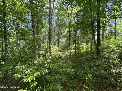 Lt 41 & 42 Smokey Hollow Drive Murphy NC 28906