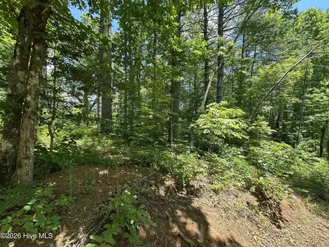 Lt 41 & 42 Smokey Hollow Drive Murphy NC 28906