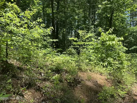 Lt 41 & 42 Smokey Hollow Drive Murphy NC 28906