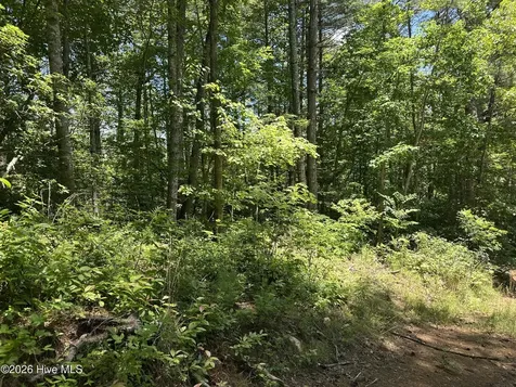 Lt 41 & 42 Smokey Hollow Drive Murphy NC 28906