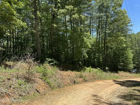Lt 41 & 42 Smokey Hollow Drive Murphy NC 28906
