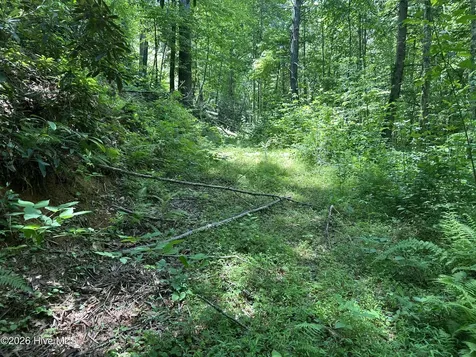 Lt 41 & 42 Smokey Hollow Drive Murphy NC 28906